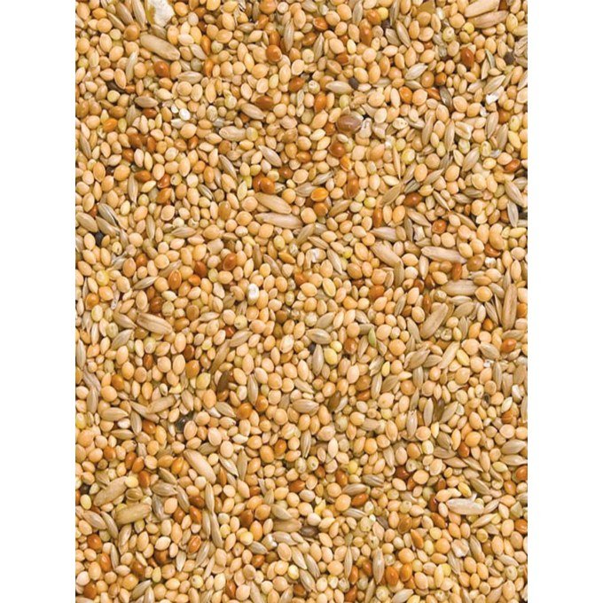 ΦΥΣΙΚΗ ΤΡΟΦΗ BUDGIE MIX PANPET 10kg